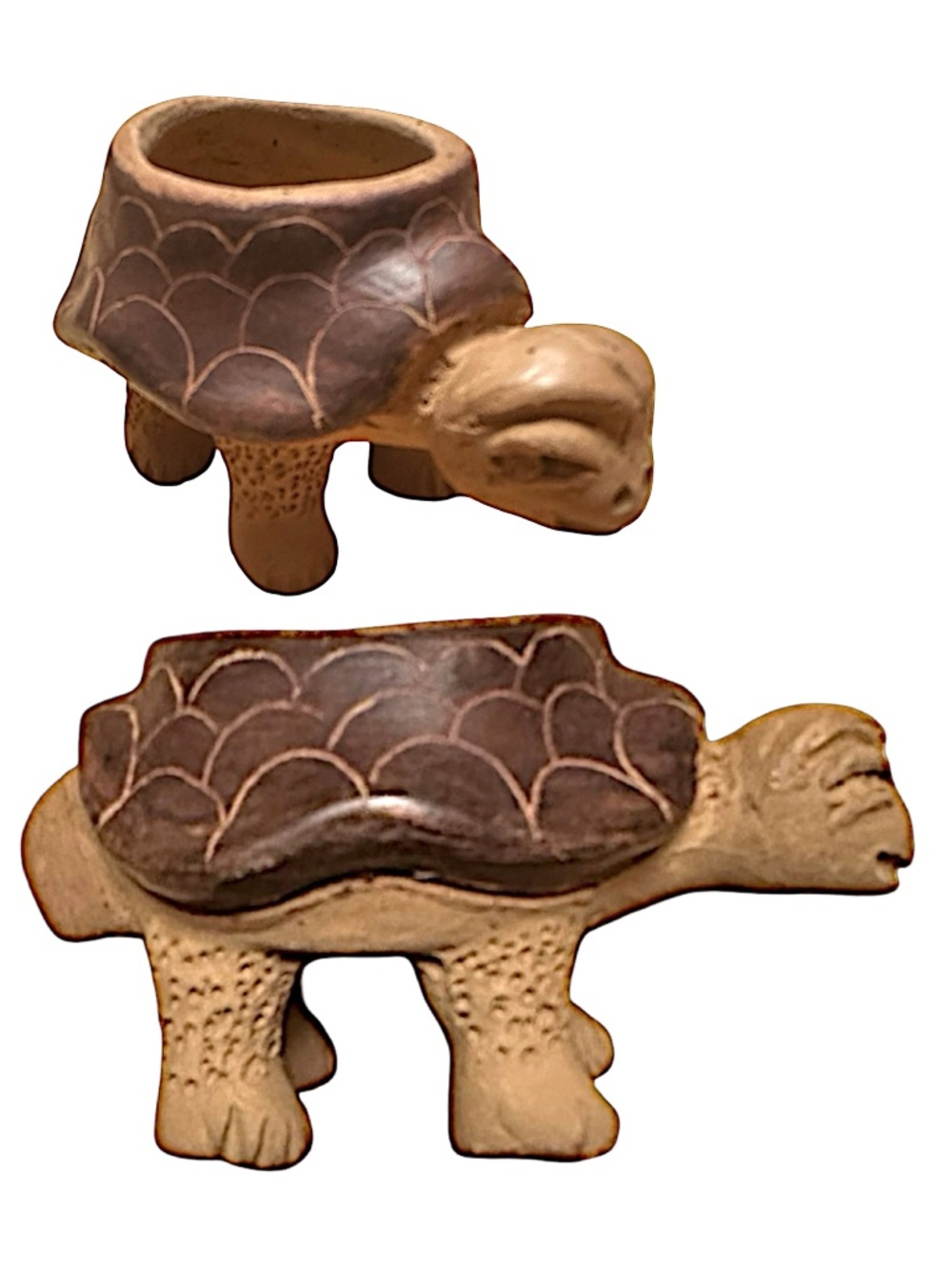 Cement Turtle Planter 5” Small Terracotta Succulent Pot Indoor Outdoor Garden